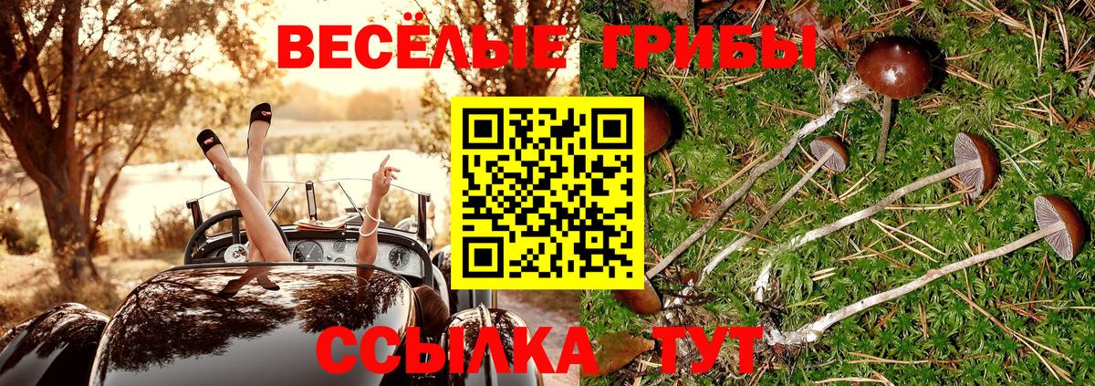 Галлюциногенные грибы прущие грибы Химки